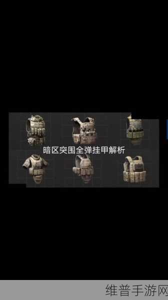 暗区突围弹挂甲价值探讨，资源管理角度的深度剖析