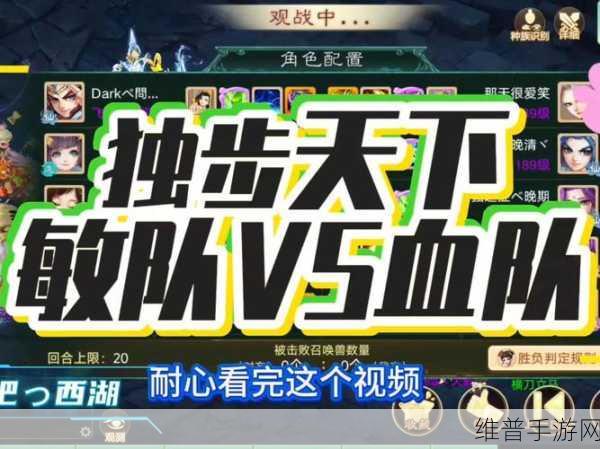 大话西游手游攻略，大话西游免费版血队搭配全解析
