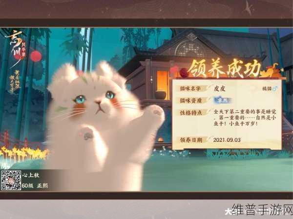 忘川风华录手游攻略，猫咪放生全解析
