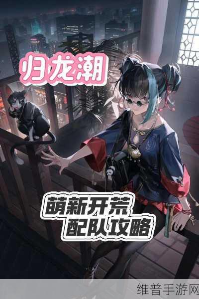 归龙潮新手必看，深度解析配队机制与策略