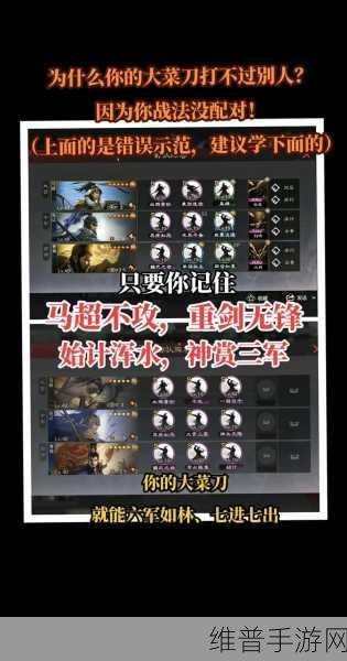 率土之滨手游攻略，揭秘率土网红队的配置之道
