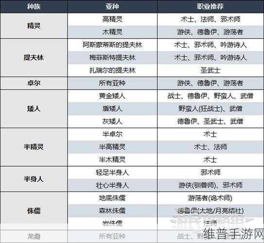 博德之门3新手职业选择与可攻略角色全解析