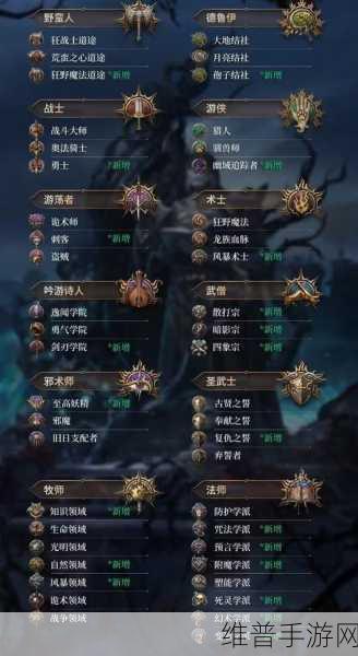 博德之门3新手职业选择与可攻略角色全解析