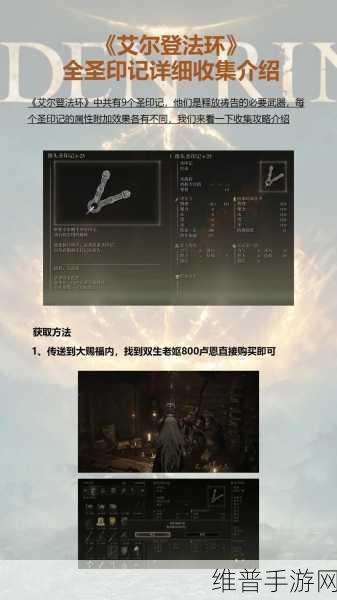 艾尔登法环深度探索，巫者村全面收集攻略