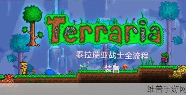 泰拉瑞亚战士混搭配装精髓与高效资源管理全攻略
