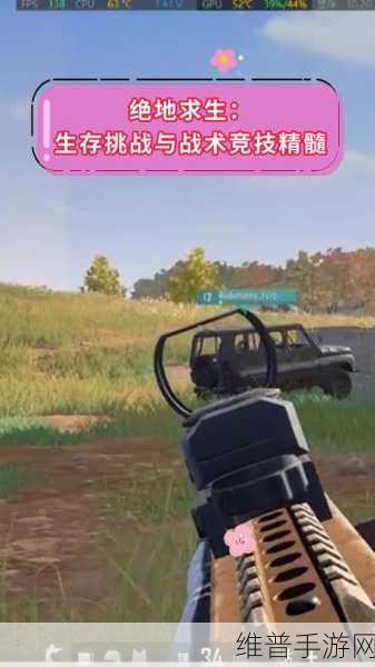 绝地求生战场深度攻略，揭秘独特战术与精准降落制胜秘籍