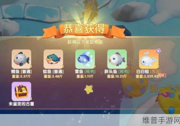 摩尔庄园手游深度攻略，如何捕获稀有宠物抱抱熊