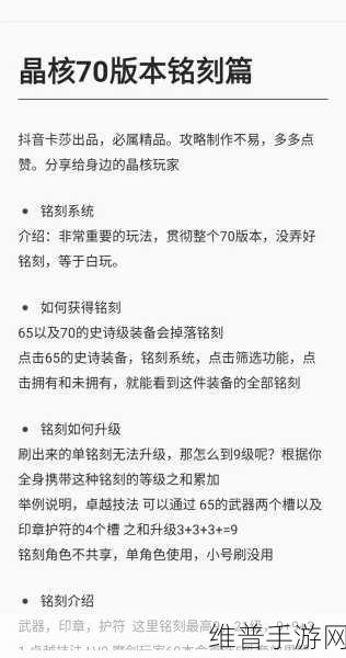晶核COA魔剑士职业深度攻略，技能搭配与实战技巧