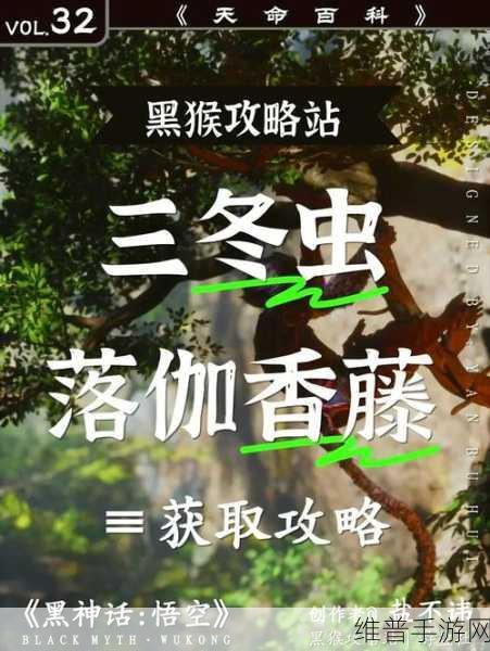 黑神话悟空手游深度攻略，揭秘三冬虫1的获取方式