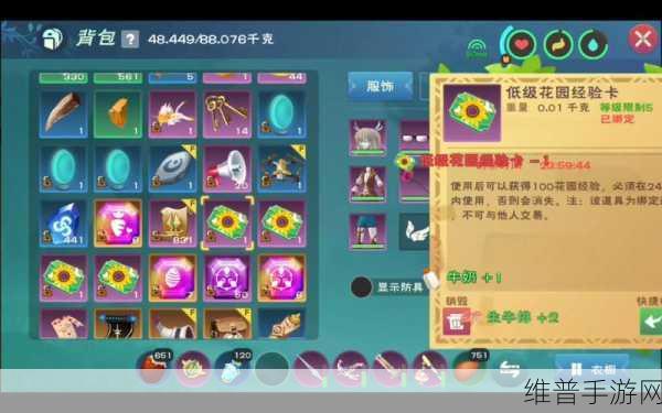 创造与魔法，掌握快速烹饪方法，提升游戏效率