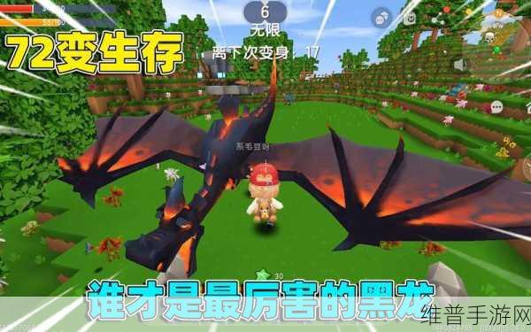迷你世界深度攻略，揭秘驯服黑龙的全方位步骤