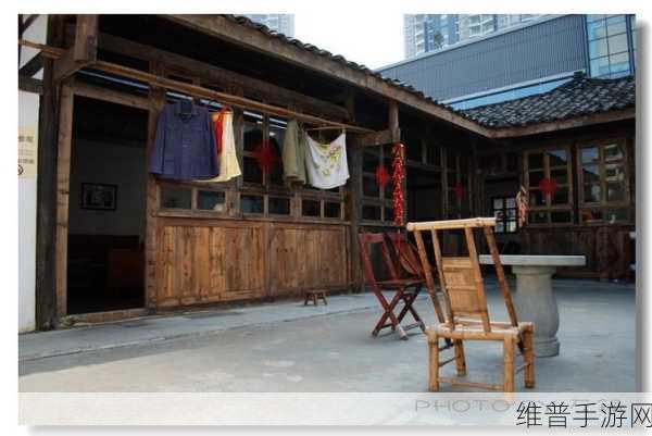 疯狂梗传怀旧老家院子通关秘籍，解锁1980年的记忆