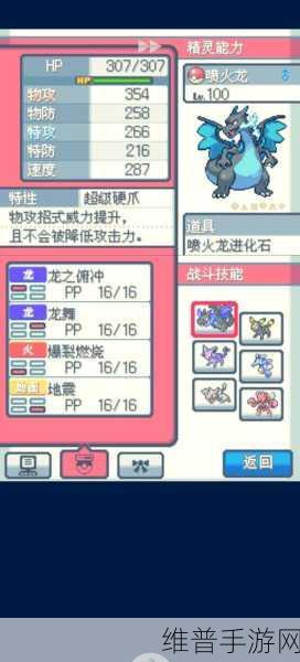 口袋妖怪金与银，深度解析探险之旅的细微差异与攻略指南