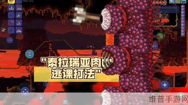 泰拉瑞亚挑战肉山必备神器全攻略，助你畅行无阻，轻松过关