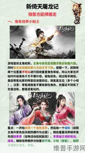 新倚天屠龙记手游不氪金深度攻略，平民玩家的武侠之旅