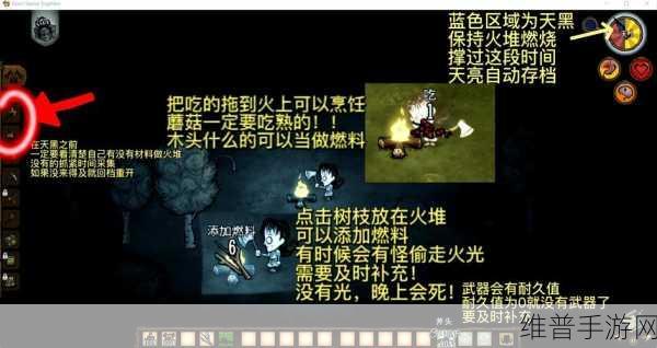 饥荒手游攻略,全面解析不可再生资源