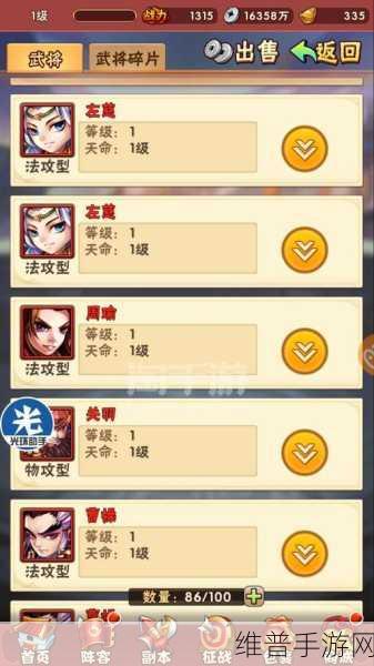 少年三国志红宠技能深度剖析与资源管理精妙策略