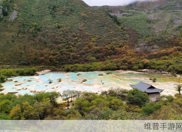 原神手游攻略，揭秘渌华池6个火柱子点亮顺序与技巧