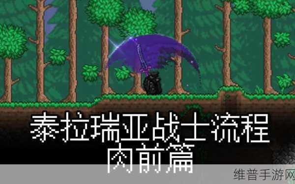 泰拉瑞亚新手入坑全攻略，从零开始的冒险之旅