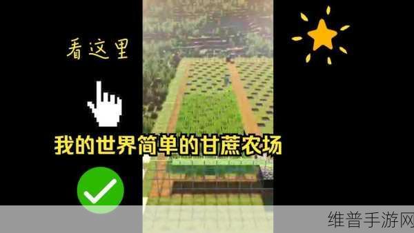 迷你世界甘蔗种植全攻略，打造你的甜蜜农场