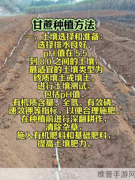 迷你世界甘蔗种植全攻略，打造你的甜蜜农场