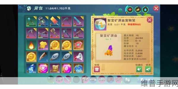 30级创造与魔法玩家装备选择及资源高效管理利用全攻略