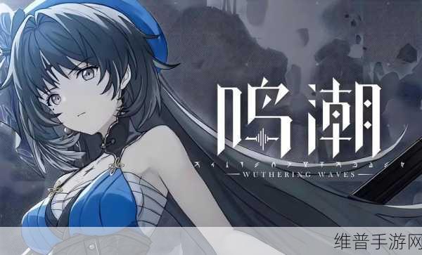 鸣潮侵蚀面罩全攻略，获取方法与详细介绍