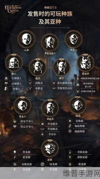 博德之门3深度攻略，摩尔位置揭秘与职业选择推荐