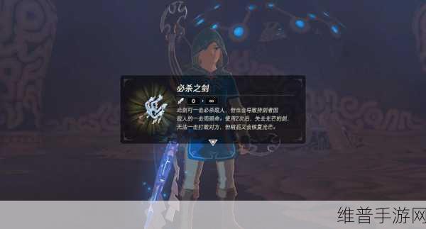 塞尔达传说剑之试炼终阶全攻略，征服大师之剑的终极挑战