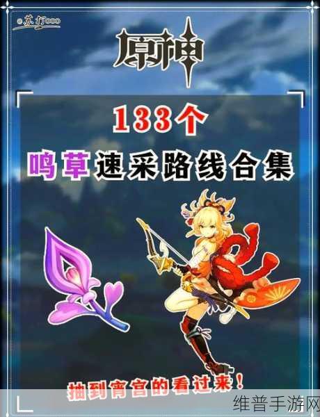 原神宵宫突破材料大全，全方位解析与收集攻略