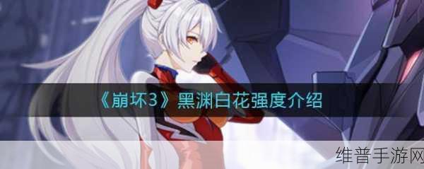 崩坏3手游攻略，揭秘黑渊白花上线时间及其详细数据