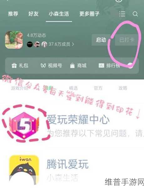 小森生活秘籍大公开，小鱼干制作全攻略，尽享美味DIY之旅