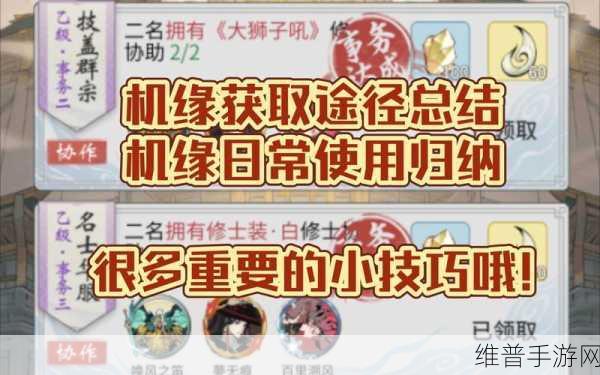 一念逍遥机缘使用攻略，最大化收益的智慧之选