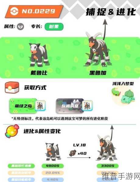 口袋妖怪复刻深度攻略，平衡性考量下的黑鲁加培养指南