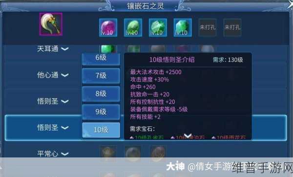 倩女幽魂深度解析，探索石之灵组合的独特奥秘与差异对比