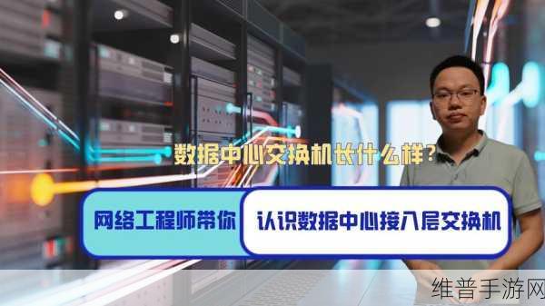 华为领跑下的手游攻略数据，揭秘数据中心交换机市场如何助力游戏体验