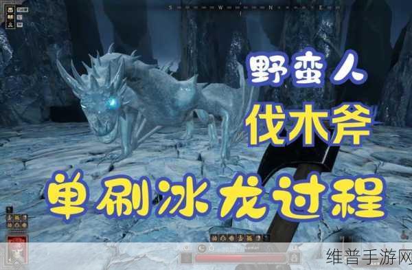 冰原守卫者深度攻略，龙宠养护指南——冰原守卫者龙到底要不要喂食？