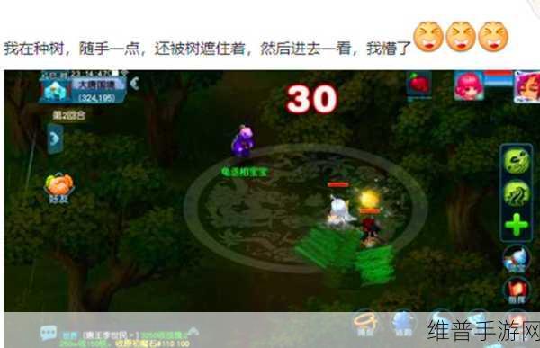 梦幻西游手游攻略，高级兽决高级精神集中与高级神迹深度对比