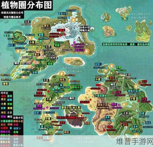 探秘创造与魔法，创魔小麦圈位置全解析