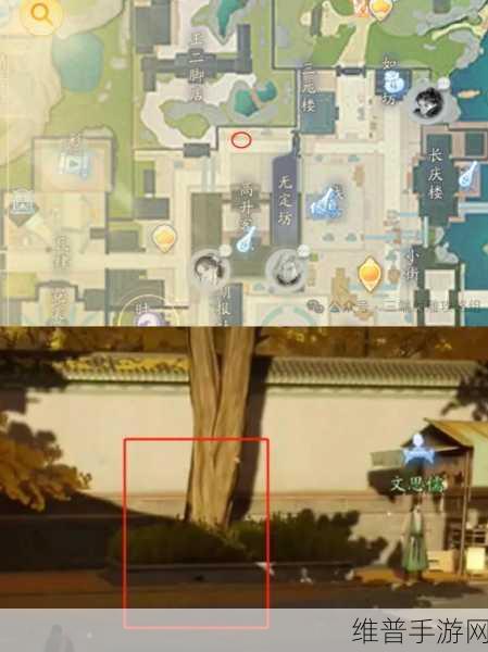 射雕手游，全面解析游侠任务通关攻略