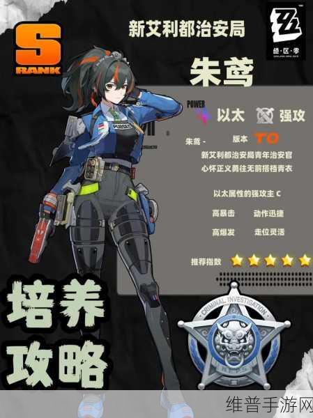 绝区零德玛拉电池Ⅱ型抽取攻略，深度解析与决策指南