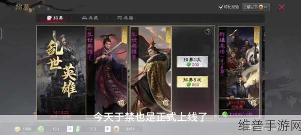 三国志战棋版于禁角色搭配深度解析