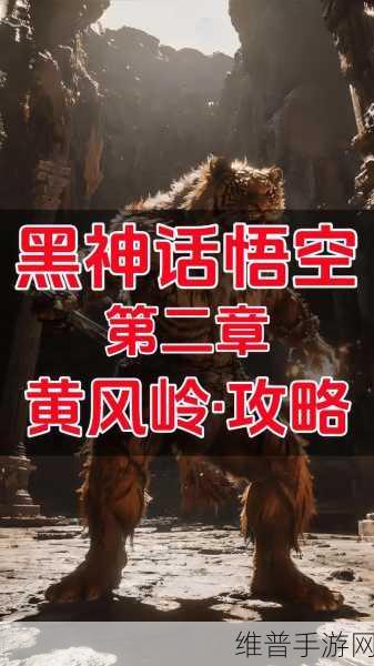 黑神话悟空，揭秘山中黑风王的音乐与攻略深度解析