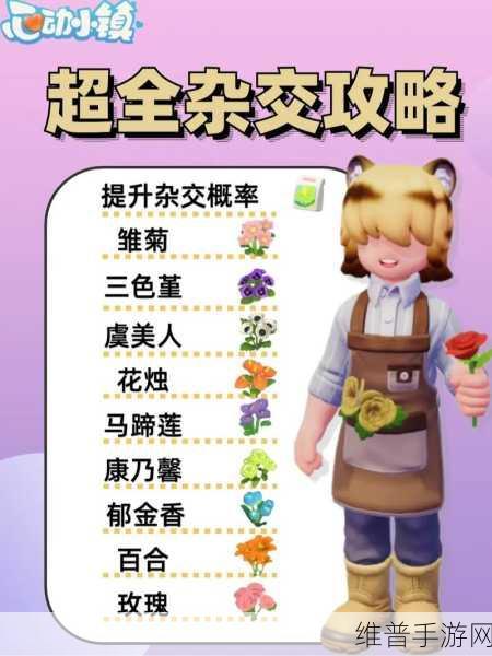 心动小镇手游攻略，全面解析好友等级提升之道