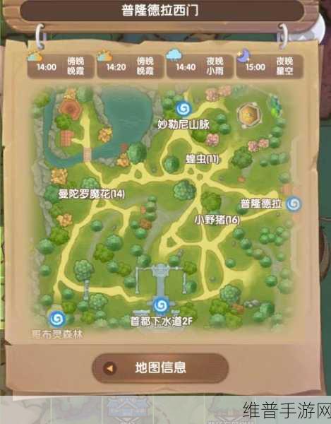 仙境传说新启航，巫师流派深度解析与推荐