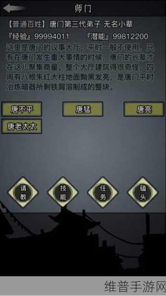放置江湖氪金武功排名揭晓 助你武林称雄全攻略