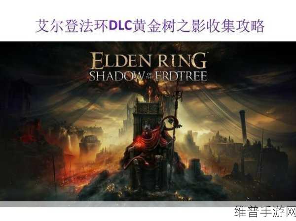 艾尔登法环黄金树之影DLC，雷电枪流派搭配深度解析