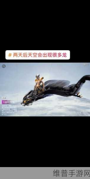 和平精英飞行器排行榜，解锁你的天空之旅