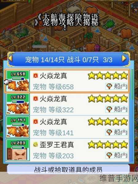 大航海探险物语，升星玩法全解析与攻略指南