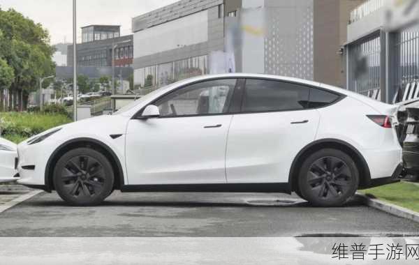 新款特斯拉Model Y手游联动曝光，细长贯穿灯组成游戏新焦点